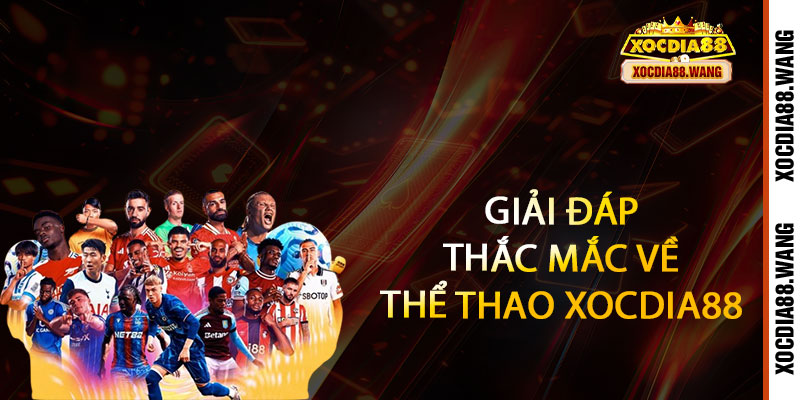 Thể Thao Xocdia88 - Đặt cược thả ga, rinh tiền cực đã 3 Giải đáp thắc mắc về Thể Thao Xocdia88