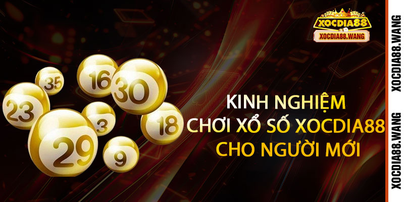 Xổ Số Xocdia88 - Mua vui cũng trúng, chốt số là rinh vàng 3 Kinh Nghiệm Chơi Xổ Số Xocdia88 Cho Người Mới